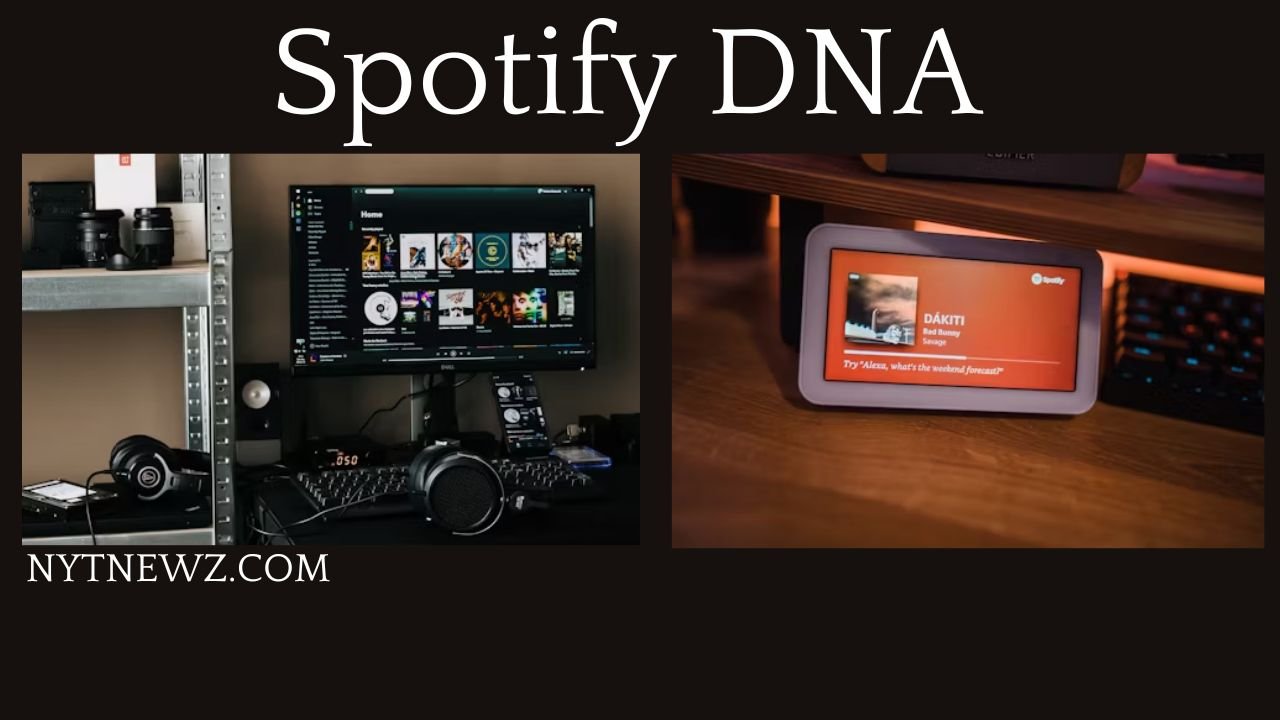 Decoding Spotify DNA: Understanding Your Musical Identity