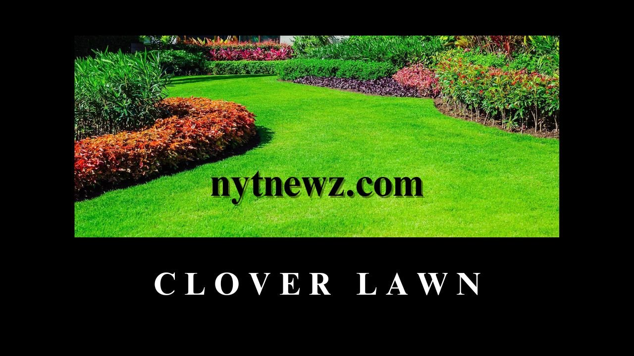 clover lawn