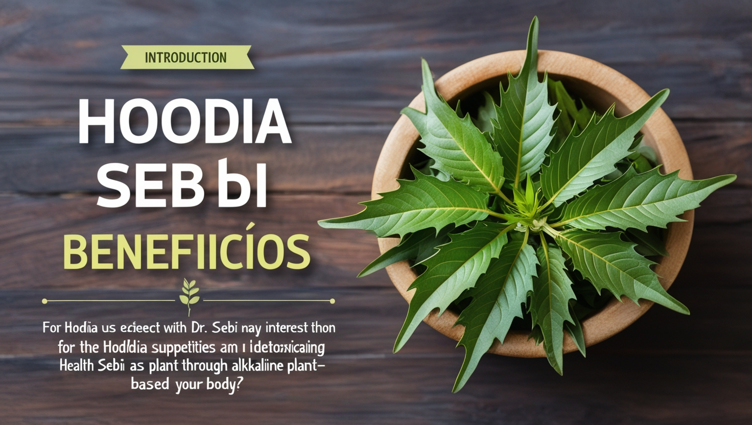 Hoddia Doctor Sebi Beneficios